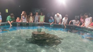 Aquarium