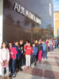 AulaDelMar