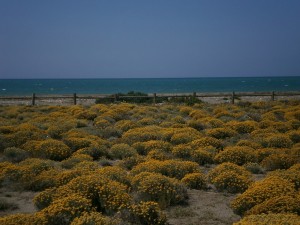 Punta Entinas
